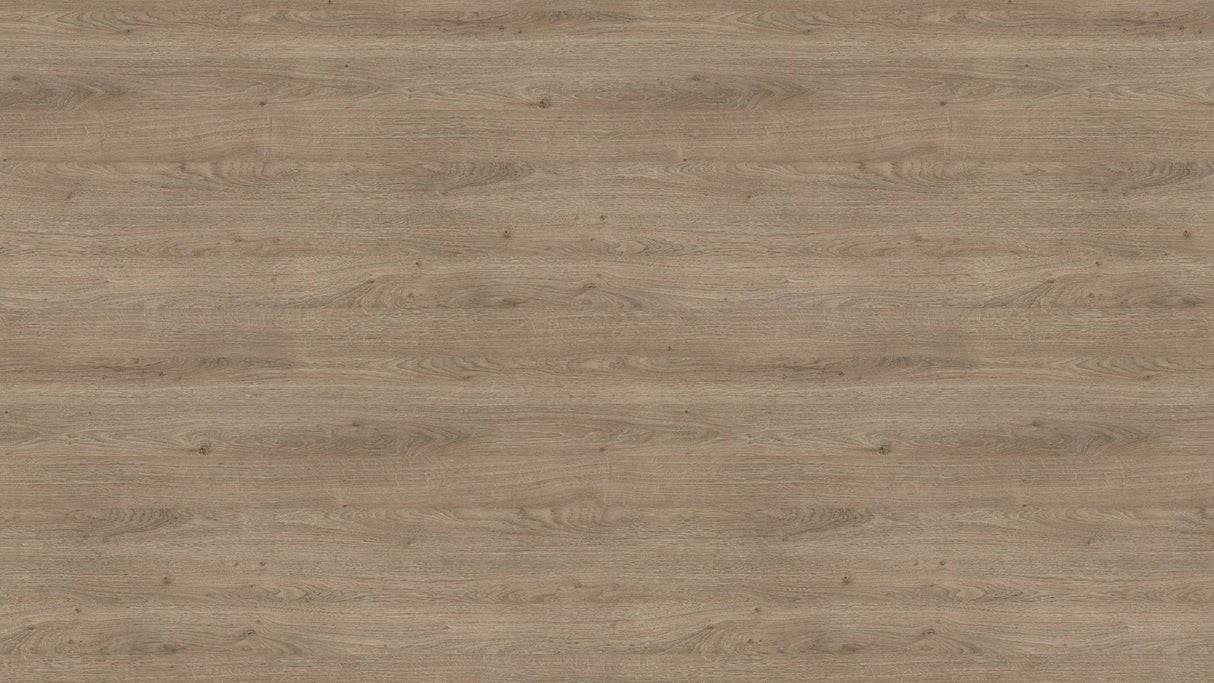 Chêne Denver chamois H1399 ST10